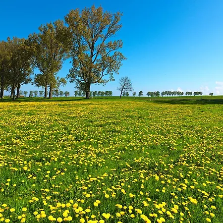 Am Krabbenweg Poeler Kuestenkoje 公寓