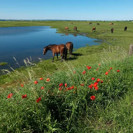 Am Krabbenweg Poeler Kuestenkoje
